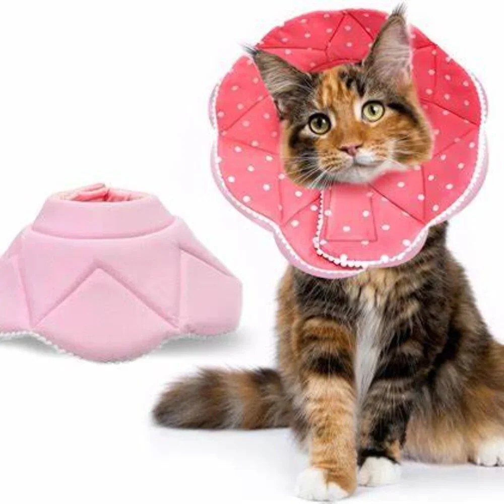 SunGrow Polka Dot Pet Soft Adjustable Recovery Cone | NWT | M | Pink White